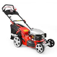 Hecht 5484 sx Hecht 5484 sx