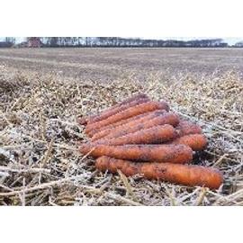 Napa (105) 2,0-2,2 mm kalibráció Precíziós mag 100.000 szem