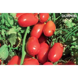 DURPEEL F1 1000 szem