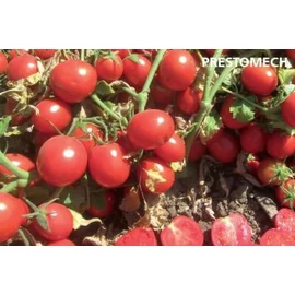 PRESTOMECH F1 10000 szem