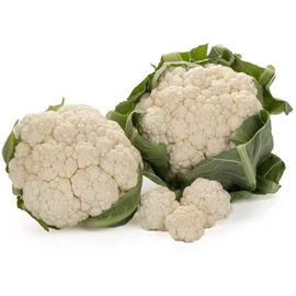 Cassard F1 2500 szem