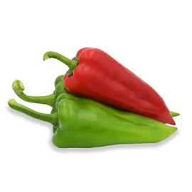 Red Queen F1 500 szem