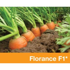 Florance F1 1,4-1,6 kalibráció Precíziós mag 1.000.000 szem