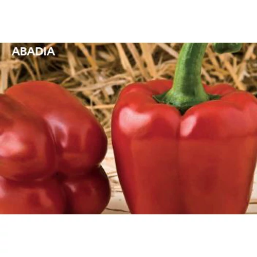 ABADIA F1 250 szem