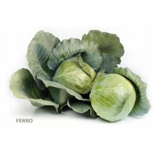 FERRO 2500 szem